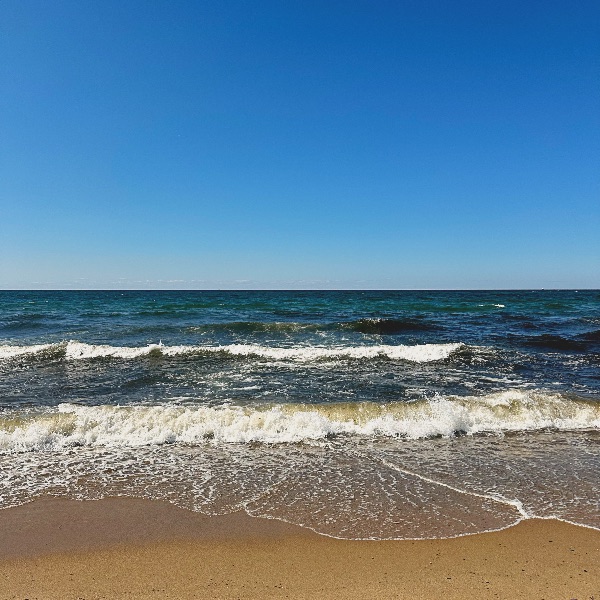 Cape Cod