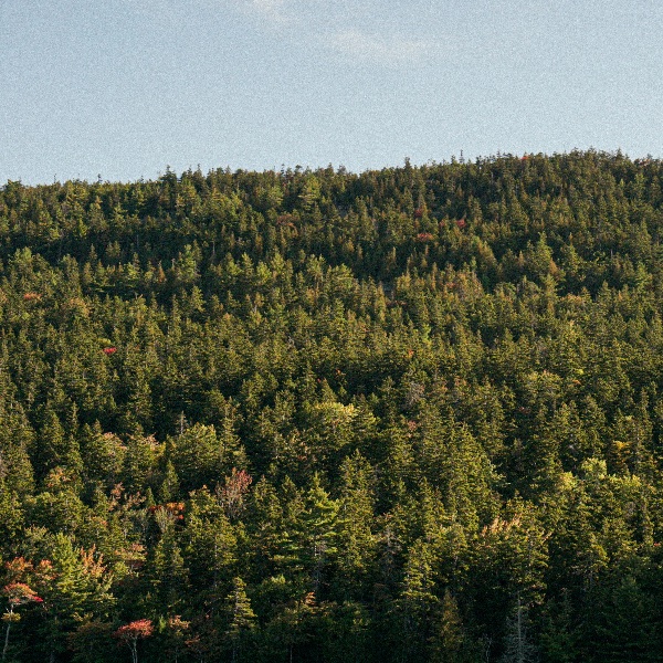 Maine
