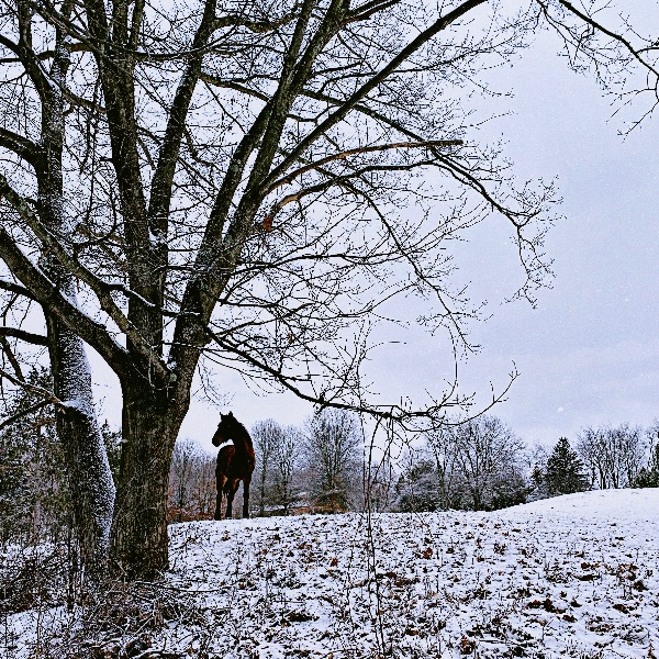 Upstate