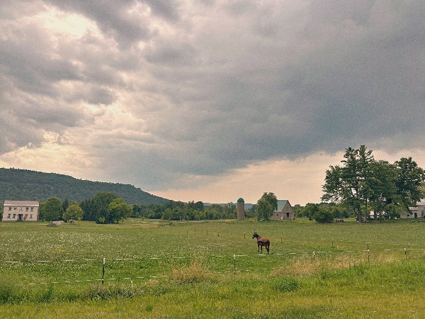 Upstate