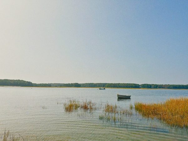 Maine