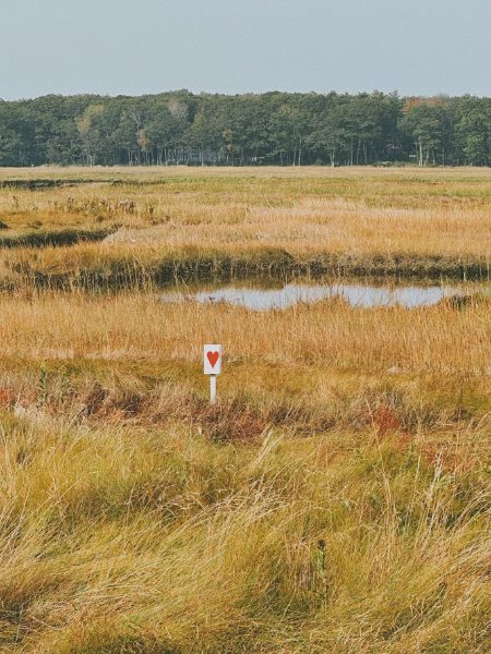 Maine